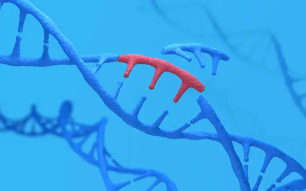 Photo of Genetic engineering
