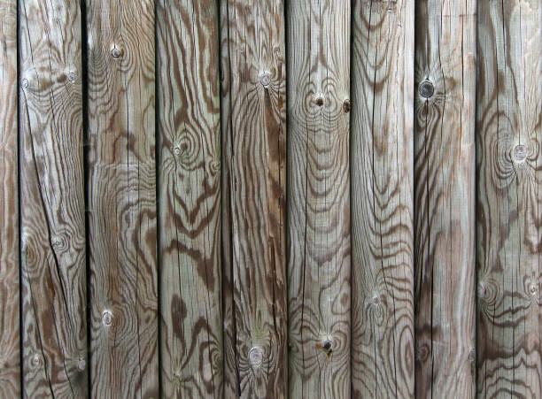 istock Palisade - fence from wooden stakes 1138383191