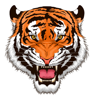 Stylized roaring tiger head isolated on white background