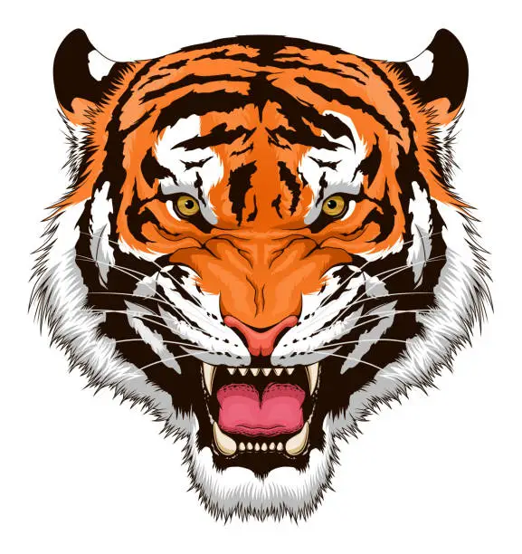 Vector illustration of Roaring tiger head