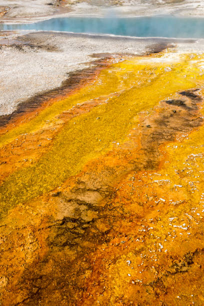 istock Geyser in Yellowstone National Park 1138384706