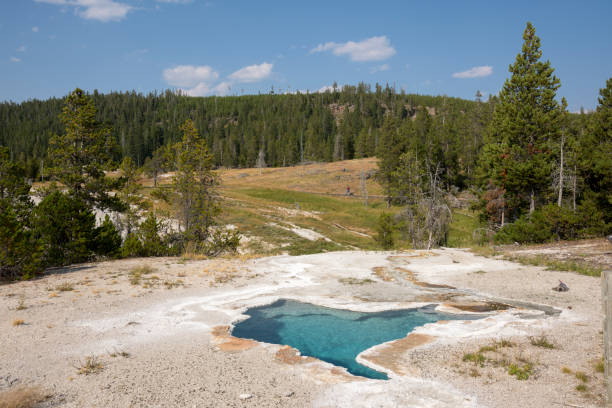 istock Geyser in Yellowstone National Park 1138384760