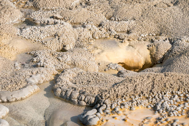 istock Geyser in Yellowstone National Park 1138384803