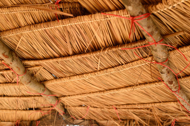 istock Thatched straw roof. Beach umbrella close up view. 1138386384