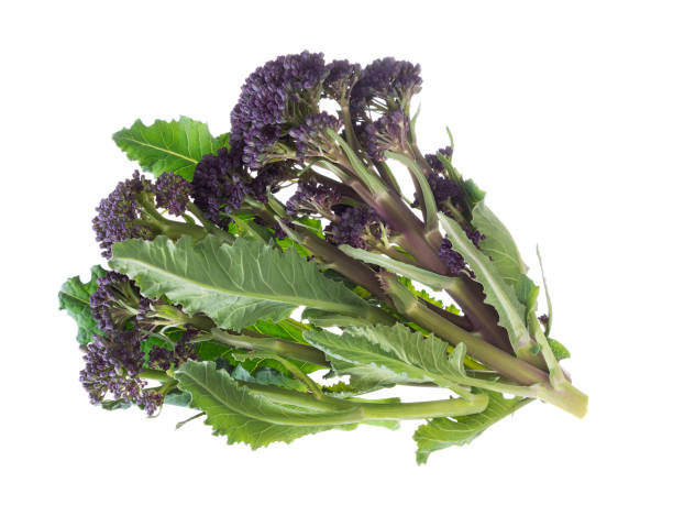 Handful of early purple sprouting broccoli spring vegetable, isolated on white. Overhead view.