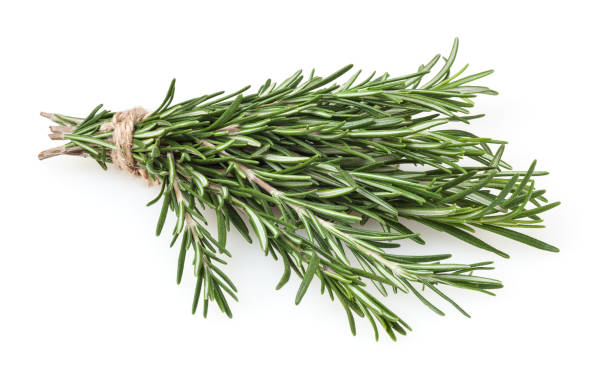 istock Fresh rosemary bunch isolated on white background 1138386566