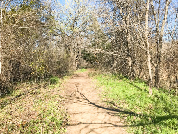 istock Soil trail at nature park with bare trees in wintertime 1138389030
