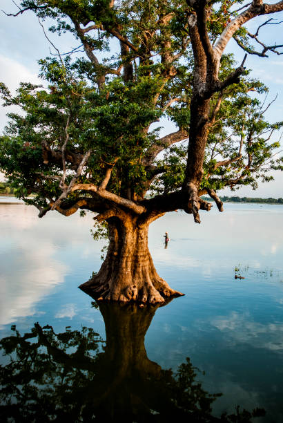 istock Taungthaman Lake Myanmar 1138389684