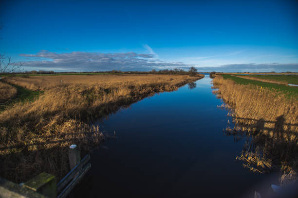 istock A rural landscape in the Netherlands 1138392377
