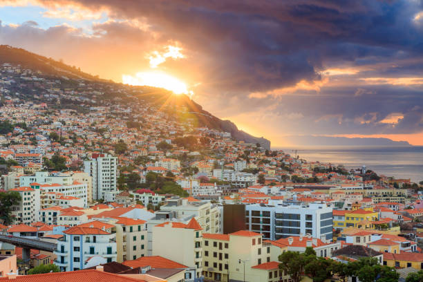 istock Funchal sunrise cityscape Madeira 1138393271