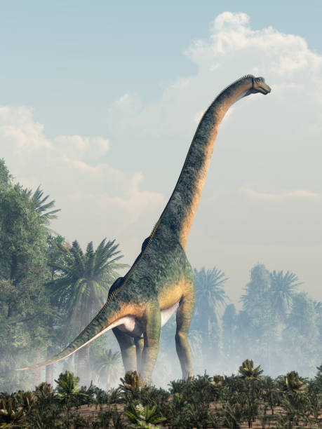 istock Giant Sauropod Walking Away 1138393587
