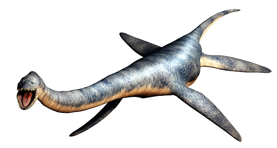 An Elasmosaurus on a white background.  It was a type of plesiosaur, an aquatic reptile that lived in the ocean during the Cretaceous Period. 3D Rendering