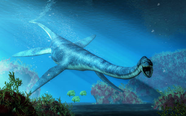 istock Elasmosaurus Swimming Towards You 1138393602
