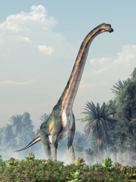 Giant Sauropod Walking Towards You stock photo