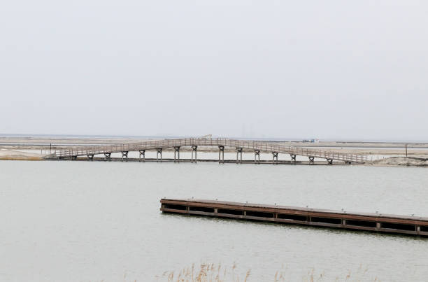 istock Dutch Landscapes – Marker Wadden Spring 2019 1138395679