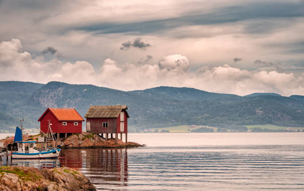istock Norway fjord landscape 1138396973