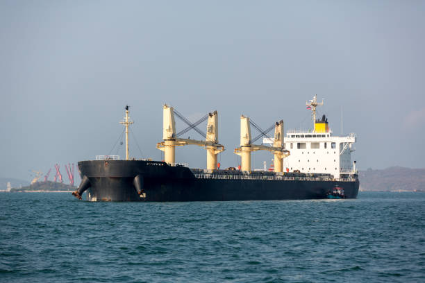 istock Container ship in export and import business and logistics. Shipping cargo to harbor by crane. Water transport International. Aerial view 1138398847