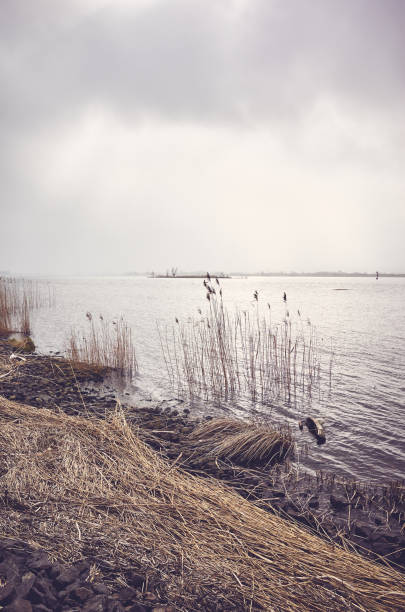 istock Wild river bank against the sun. 1138398974