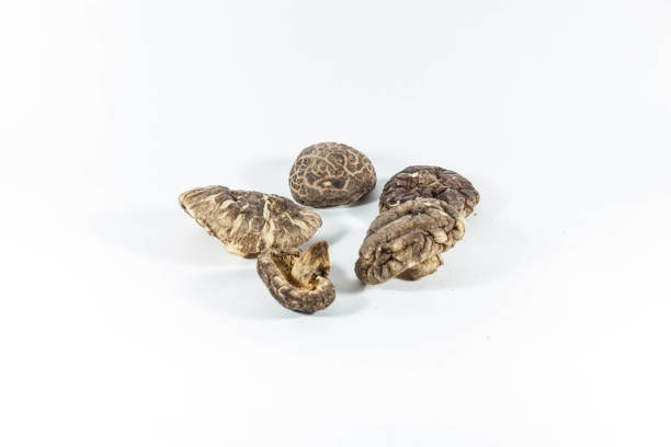 istock Dried mushroom in a white isolated background 1138399930