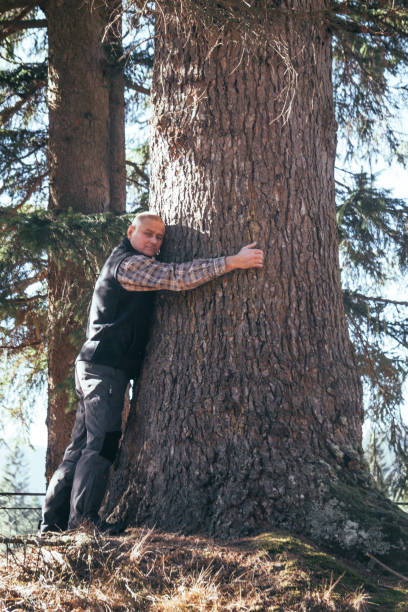 istock Man in an old spruce forest. Spring sunny day 1138399961