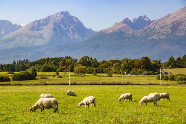 istock High Tatras mountains, Slovakia 1138400177