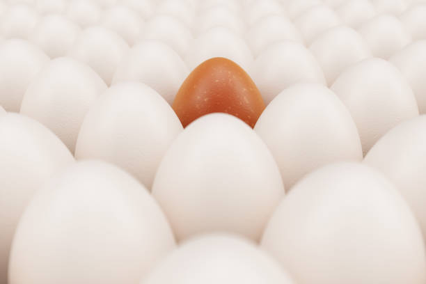 istock Orange egg in a centre. Background of white chicken eggs with one orange egg. Symbol of easter, holidays. Concept happy easter. Healthy food, eggs food production, 3D illustration 1138400218