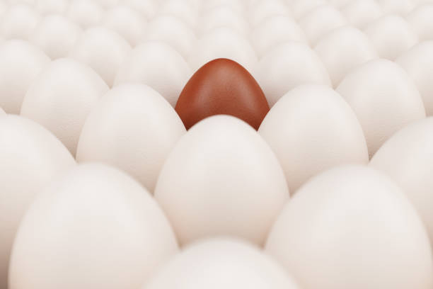istock Brown egg in a centre. Background of white chicken eggs with one brown egg. Symbol of easter, holidays. Concept happy easter. Healthy food, eggs food production, 3D illustration 1138400219