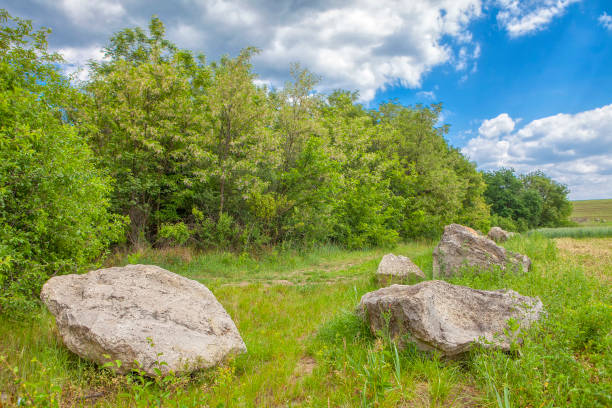 istock natural rocks on the field 1138401933