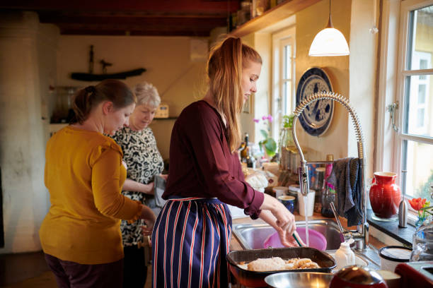 istock Young women preparing Christmas dinner 1138404330