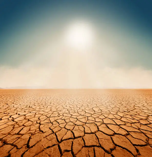Dry salt sea desert landscape, background, global warming concept, 3d render