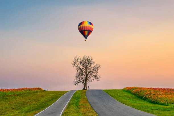 istock Lonely tree with hot air balloon flying on hill 1138405664