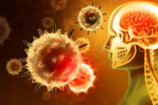 istock Virus or bacteria attacking the human brain. Viral disease. 3d illustration 1138405748