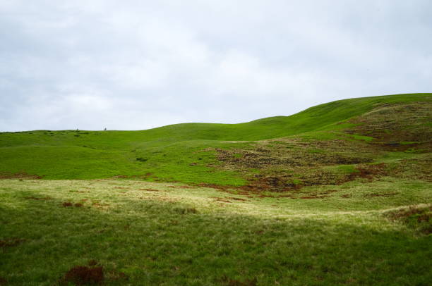 istock Green nature abstract background wallpaper 1138411624