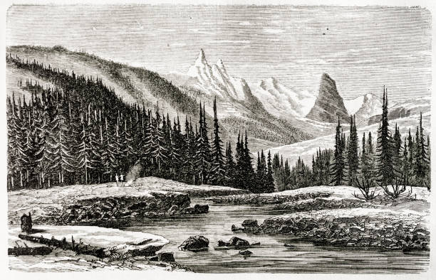 illustrazioni stock, clip art, cartoni animati e icone di tendenza di montagne forestali e fiume - 1871