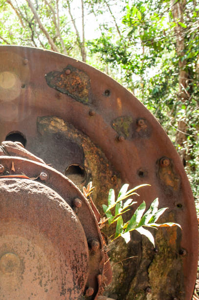 istock Large rusty gear of Tin Dredge in the deserted tin mine. 1138418074