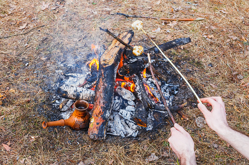 At the stake in the spring forest, a clay Turkish coffee pot is heated against the grass. In the frame, two hands of a man fry champignons. Firewood from round branches.