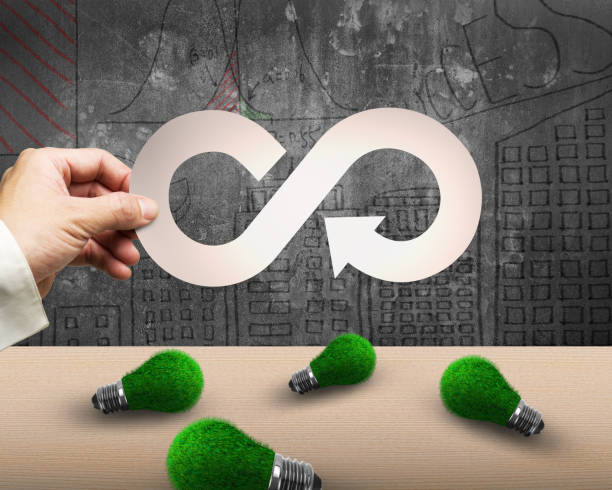istock Hand holding arrow infinity recycling symbol, grass bulbs, circular economy. 1138419467
