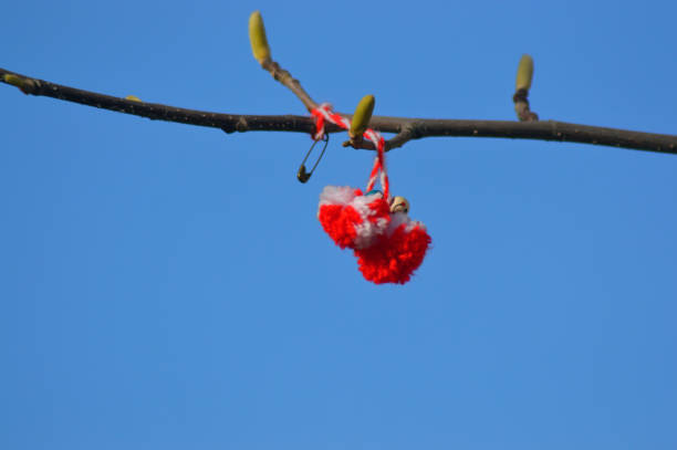 Traditional Balkan Martenitsa spring decoration on magnolia tree