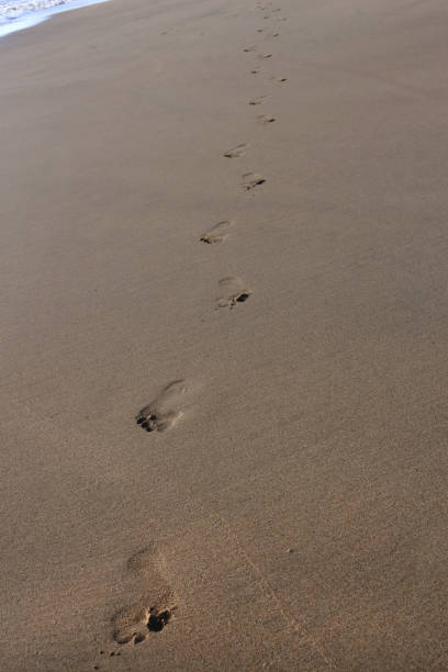 istock Footprints on the Sand in Jimbaran Beach, Bali 1138422098