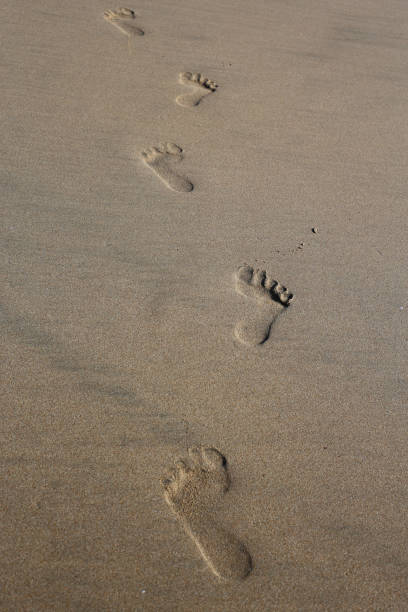 istock Footprints on the Sand in Jimbaran Beach, Bali 1138422195