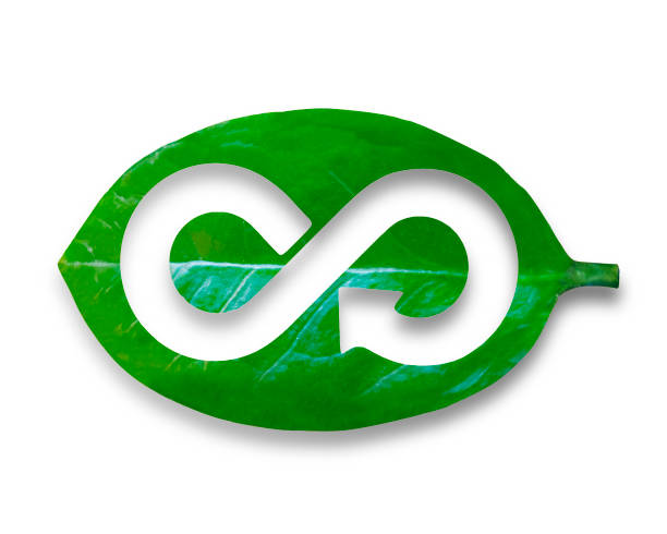 istock Leaf with hole of arrow infinity recycling shape, circular economy 1138423519