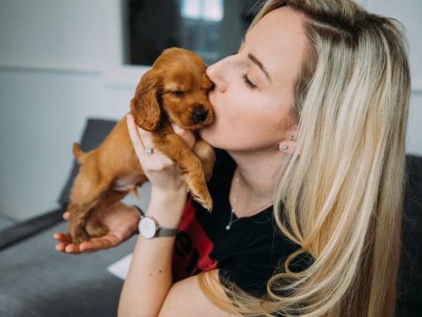 istock I Love My New Puppy! 1138424983