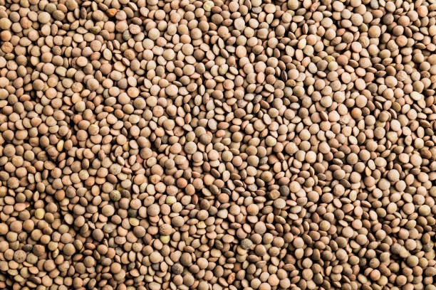 background of raw lentils background of raw lentils to use as a poster in markets or magazines lentil photos stock pictures, royalty-free photos & images