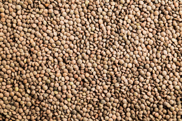 background of raw lentils - lentil imagens e fotografias de stock