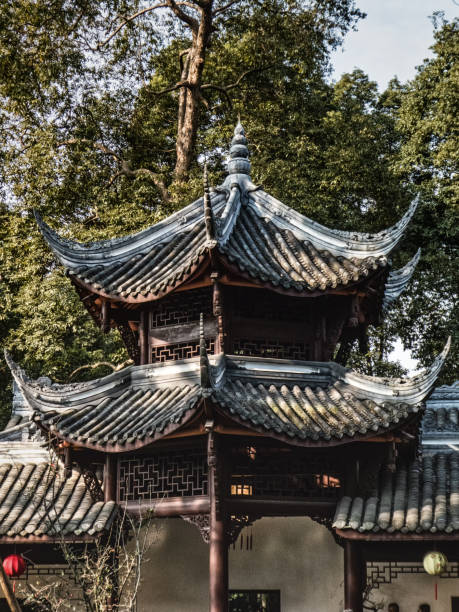 istock Pagoda on the grounds at Du Fu Thatched Cottage 1138426935