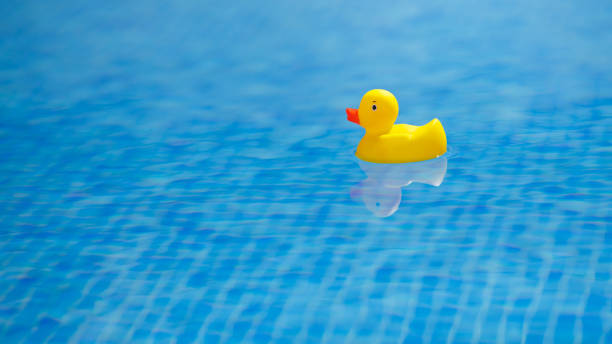 istock yellow rubber duck in blue swimming pool 1138427881