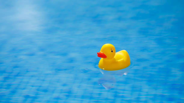 istock yellow rubber duck in blue swimming pool 1138427990