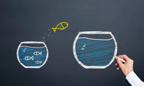 istock fish leaping from small water tank into large water tank 1138428599