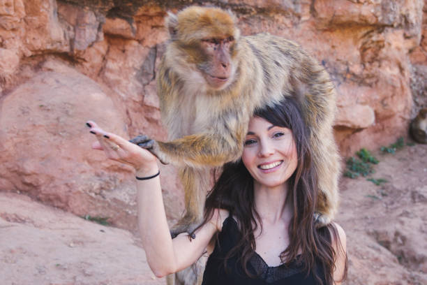 istock Adventures fill my soul 1138428687