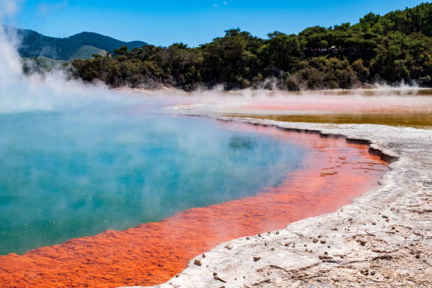 hermoso paisaje de tierra termal, rotorua, isla norte, nueva zelanda. - new zealand geyser champagne park fotografías e imágenes de stock